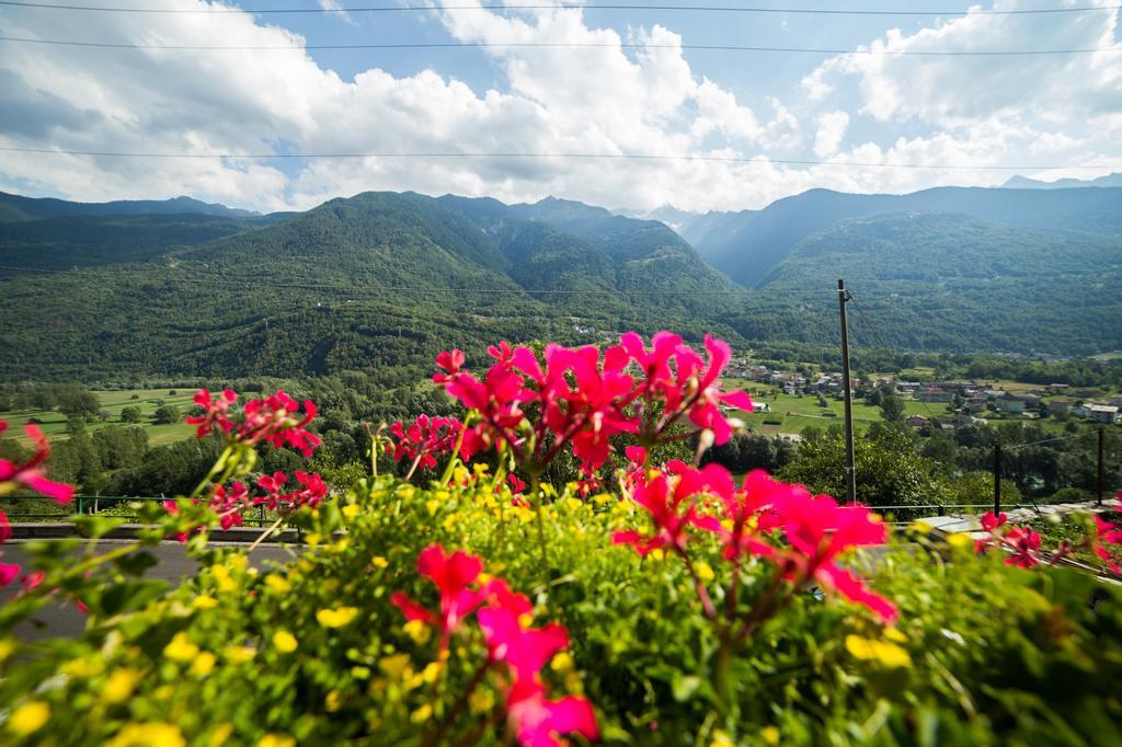 B&B Ca' La Vedescia Тельйо Екстер'єр фото
