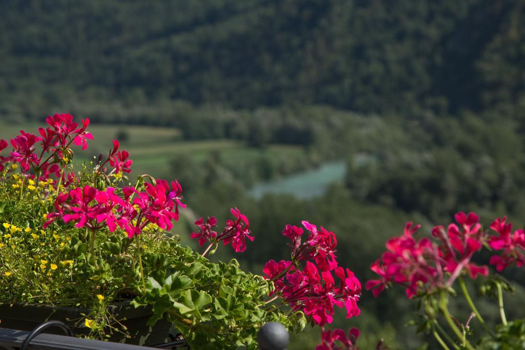 B&B Ca' La Vedescia Тельйо Екстер'єр фото